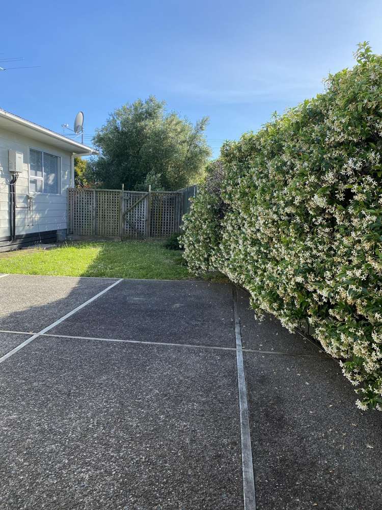 12-14 Cork Street Martinborough_16