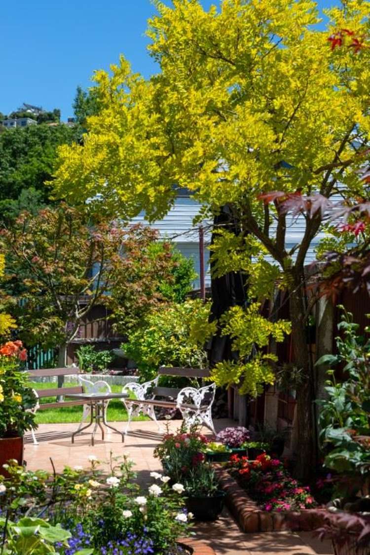 16 Landsdowne Terrace Cashmere_26