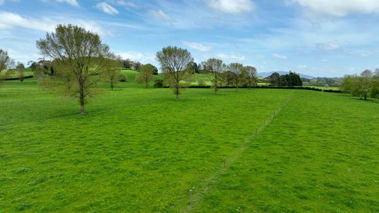 18 Pond Road Matamata_18