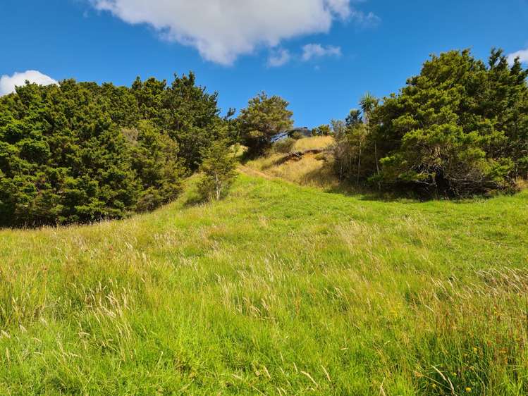 304 Arapaoa Road Tinopai_12