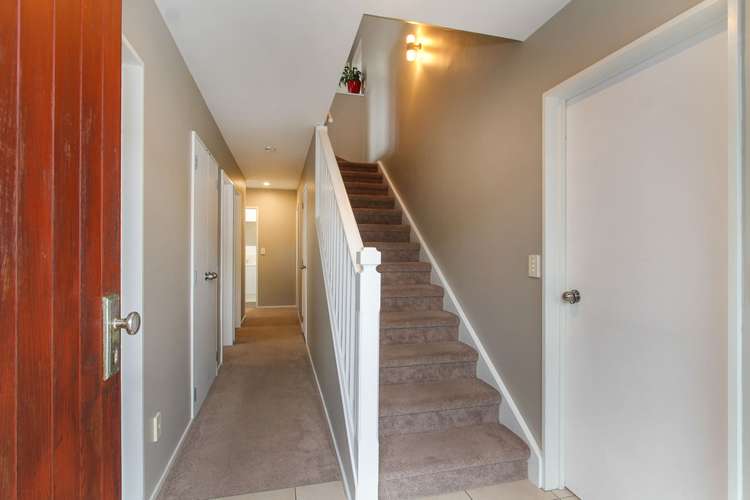 13a Rishworth Avenue Stanmore Bay_18