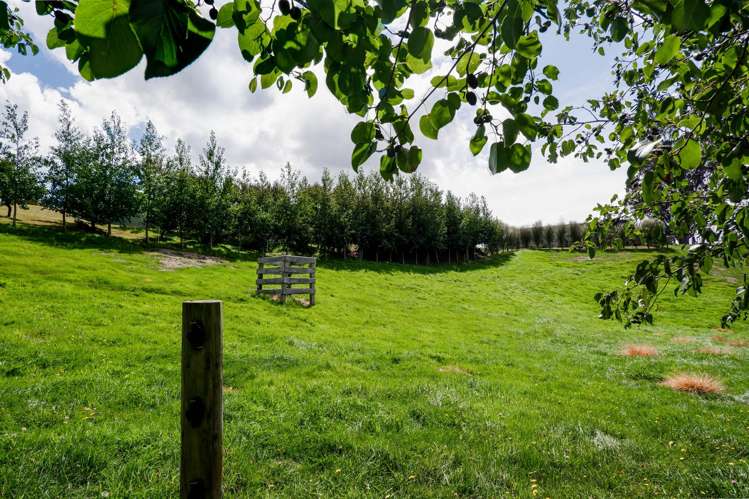 64B Racecourse Road Waipawa_37