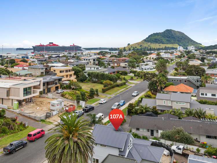 107a Oceanview Road Mount Maunganui_13