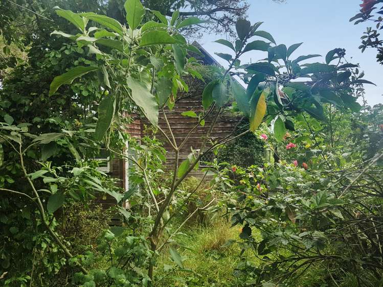 914 Whakapirau Road Whakapirau_8