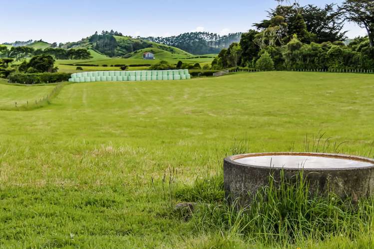 Upland Road Egmont Village_11