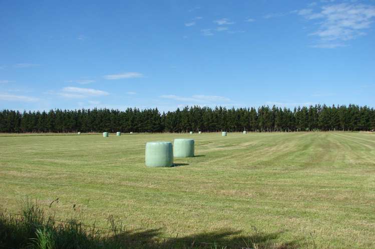 194 Talls Road Gorge Road_10