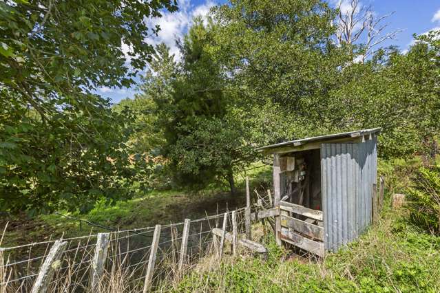 Te Tahi Road Puketotara_2