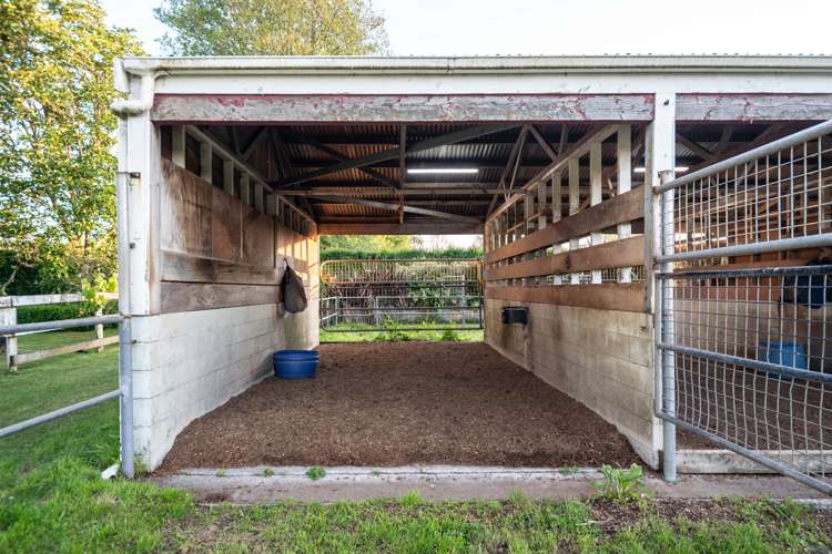 91 Forrest Road Cambridge_5