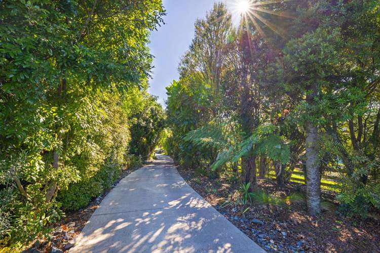 3/957 Taotaoroa Road Cambridge_9