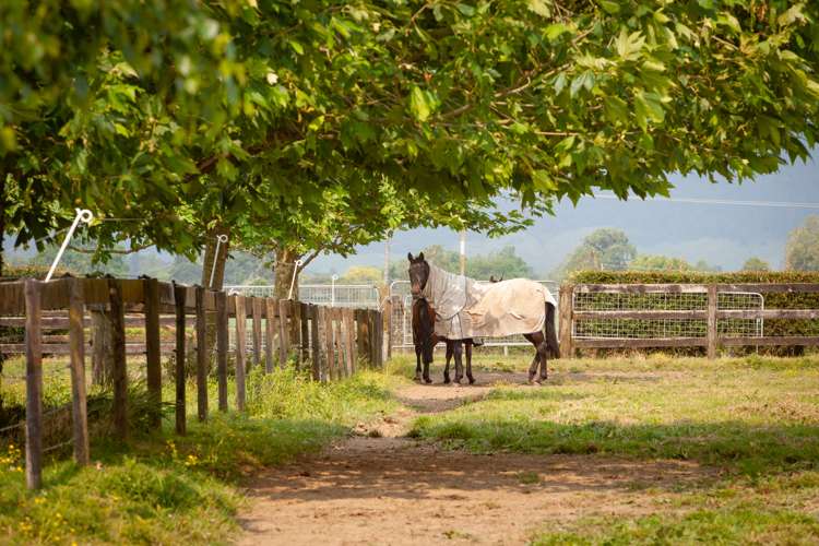 497 Mowbray Road Waharoa_16