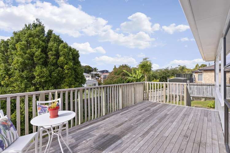 2/231 Birkdale Road_2