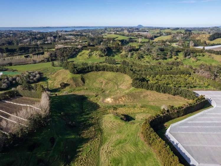 229 Walford Road Katikati_12
