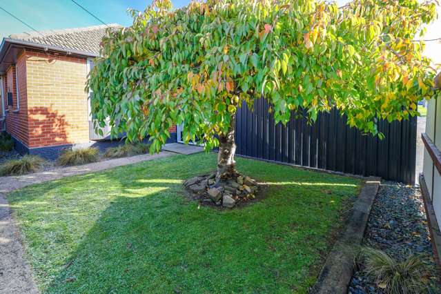 41 Balmain Street Halfway Bush_1