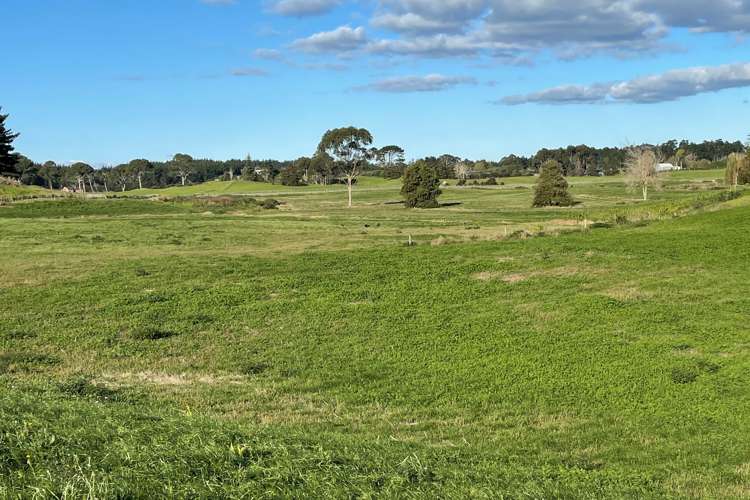 213 Black Swamp Road Mangawhai_8