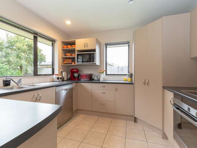 41 Mccauley Street Rolleston_3