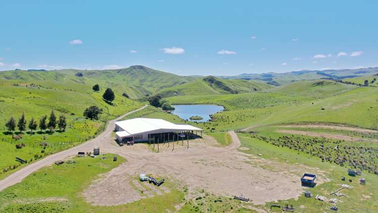 207 Mangatuna Road Weber_17