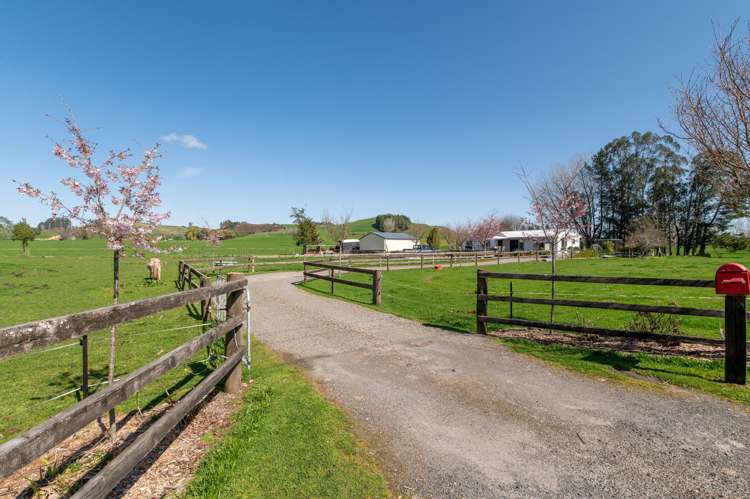 196 Ash Pit Road Rerewhakaaitu_34