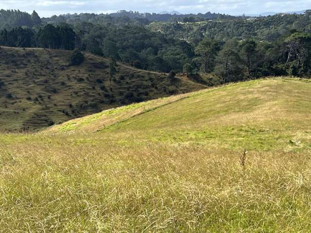 2678 Awhitu Road Awhitu_2