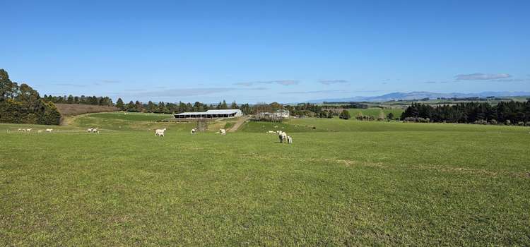 169 Charters Road Waikoikoi_2