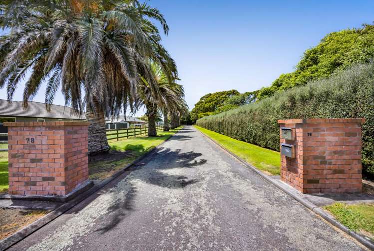 76 Wills Road Bell Block_59