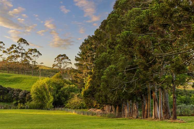 713 Ararimu Valley Road Waimauku_15