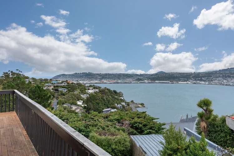 40 Shandon Road Waverley_34