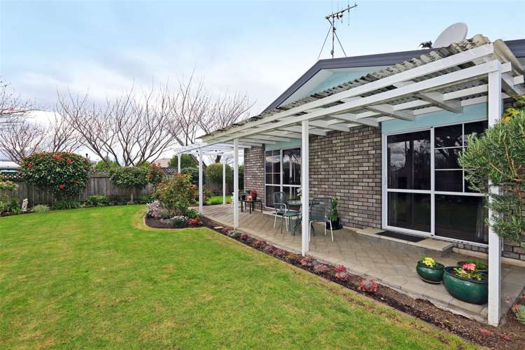 1229 Louie Street Parkvale_7