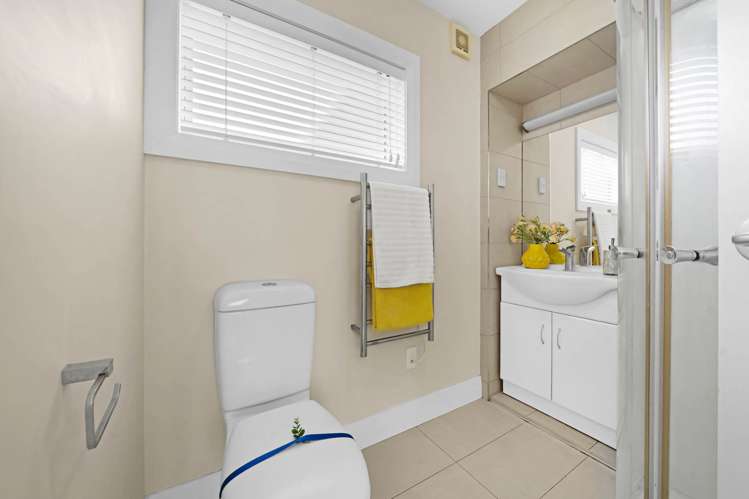 60 Blockhouse Bay Road Avondale_22