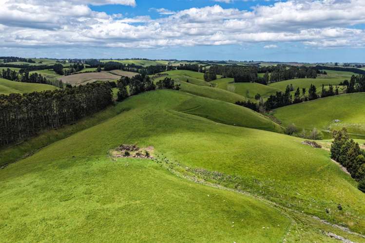 144 Block Road Pukeawa_6