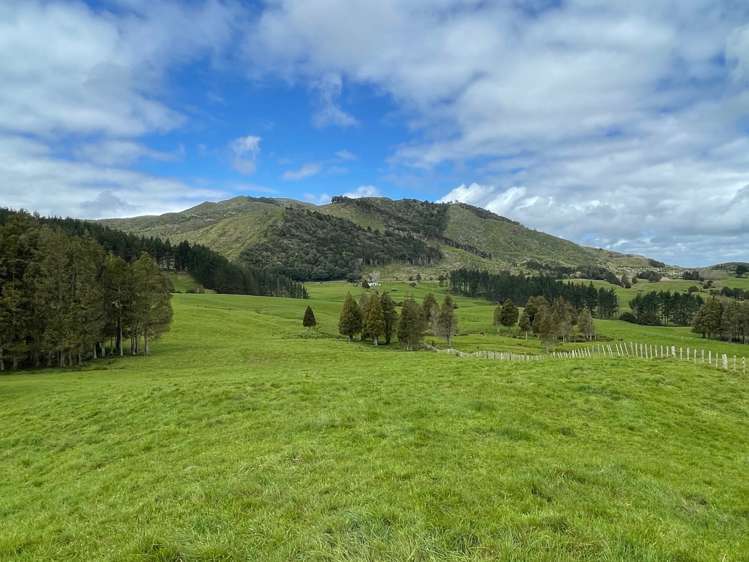 2288 Waihue Road Dargaville Surrounds_9