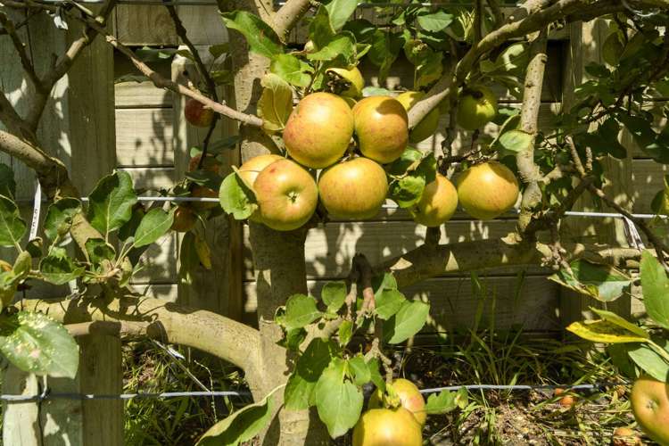 86b Margaret Drive Omokoroa_12