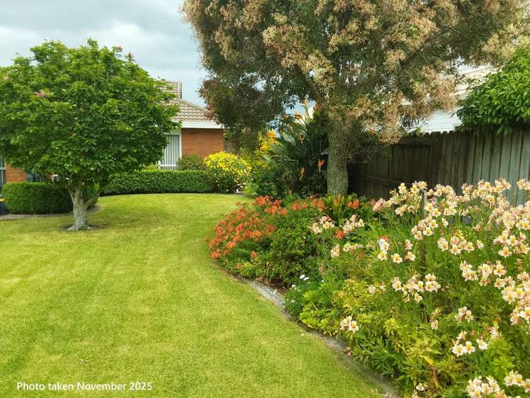 237A Levers Road Matua_25