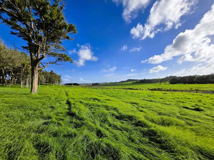 Lot Lot 3 Sills Road Dargaville_6
