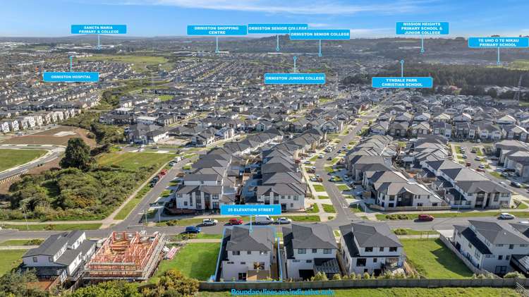 25 Elevation Street Flat Bush_43