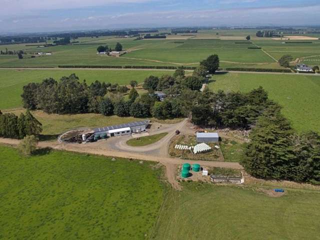 74 Reid Road Winton Surrounds_3