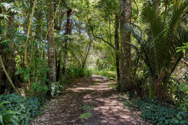 161 Scenic Drive Titirangi_2