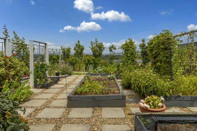 28 Holyoake Terrace Omokoroa_22