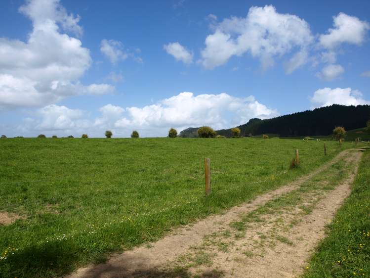 87 West Road Clevedon_10