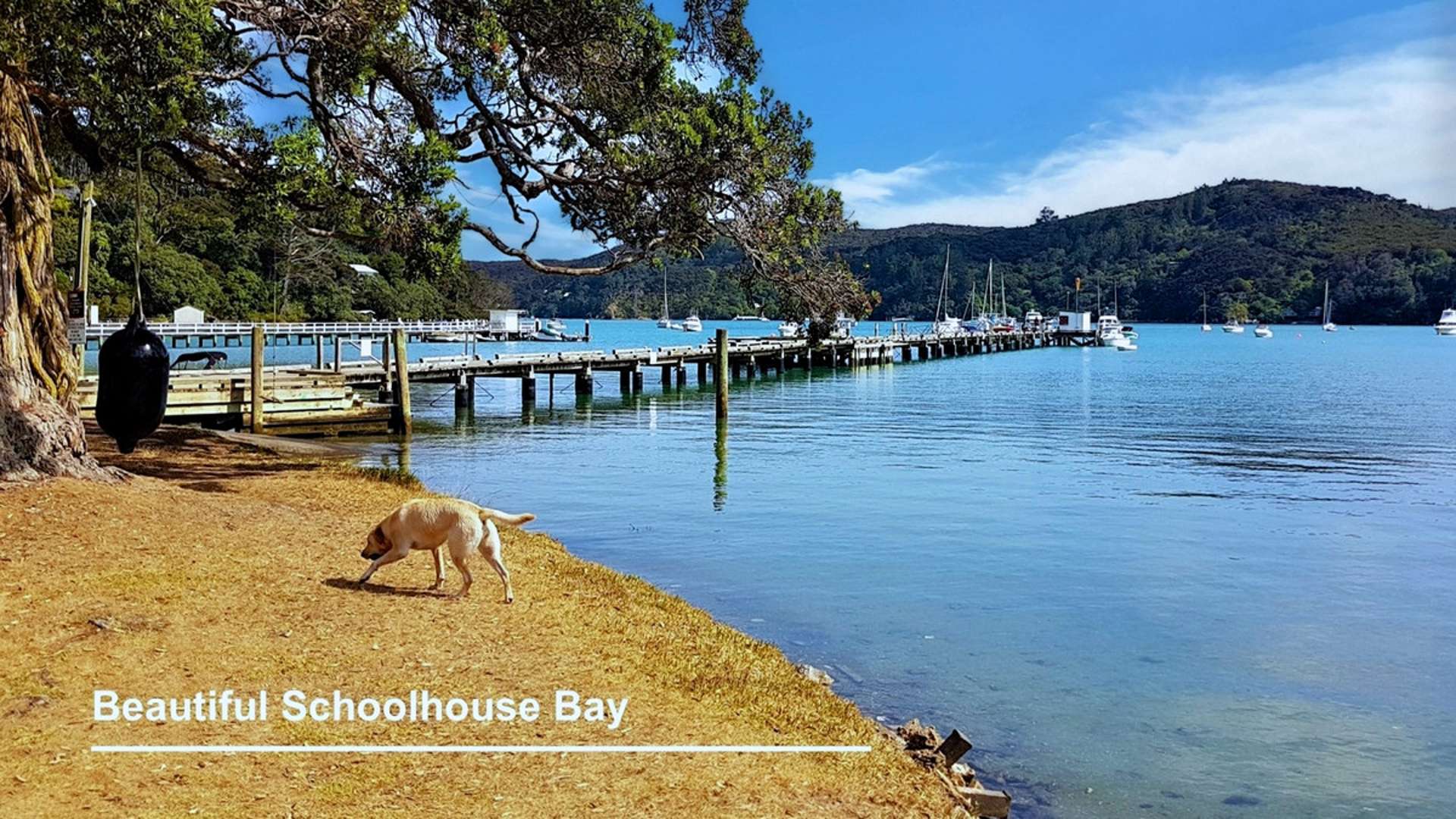 46 Schoolhouse Bay Road Kawau Island_0