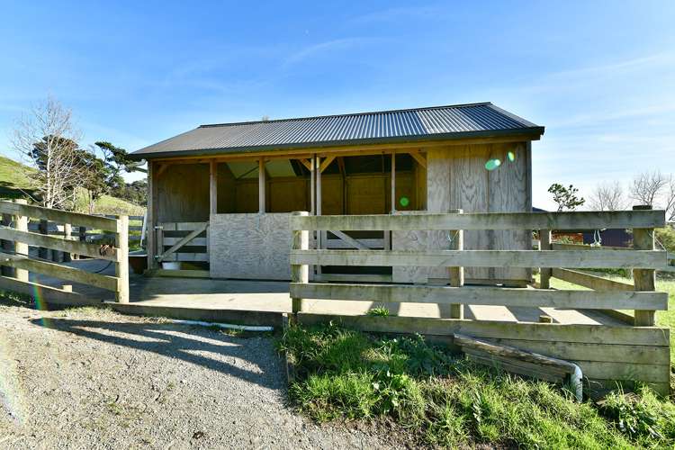 65c Manuka Grove Helensville_25