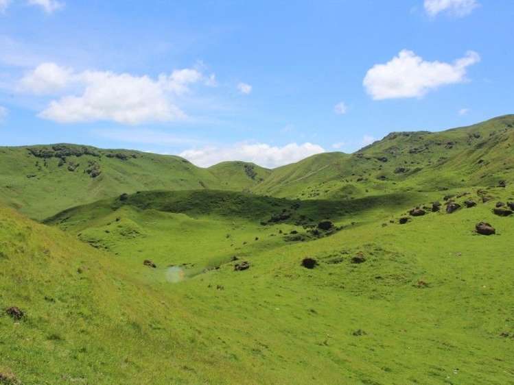 858 Oporae Road Weber_1