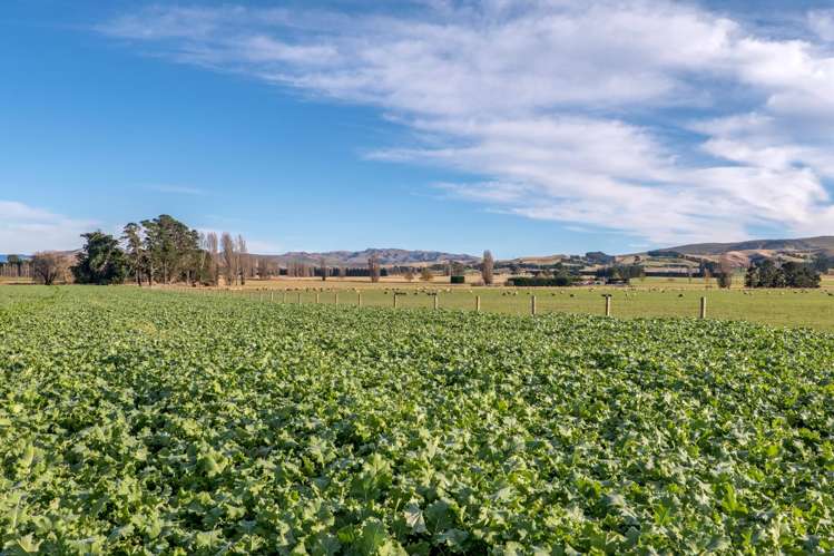 274 Glenmark Drive Waipara_31