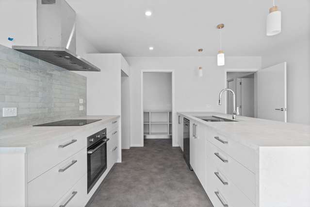 24 Sussex Street Masterton_4