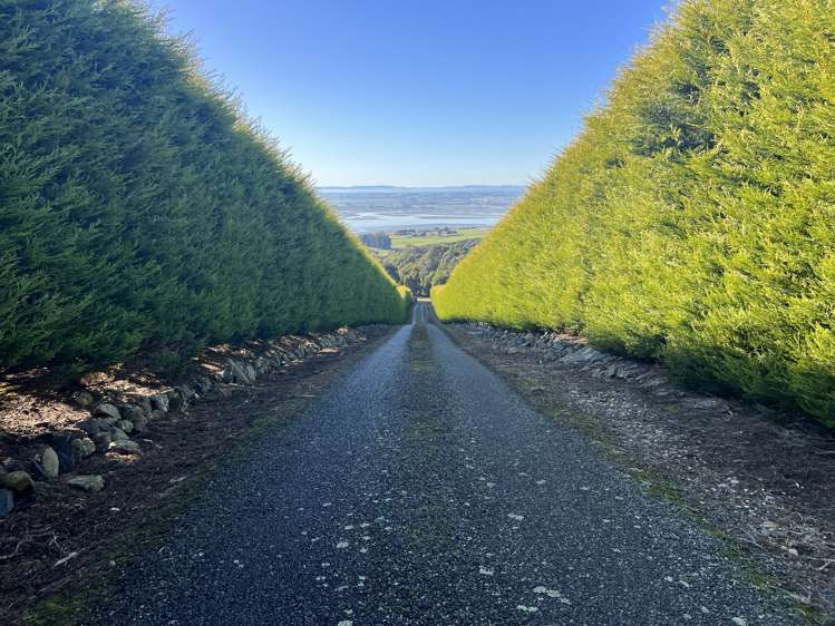 80A Blackmore Road Riverton_24