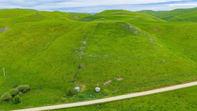 Corner Te Aute Trust Road and Aupaki Road Poukawa_1