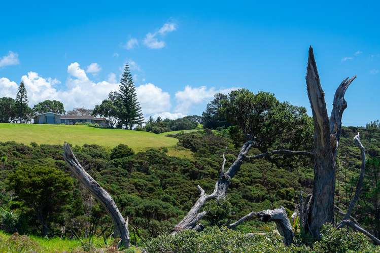 106 Landowners Lane Tutukaka_13