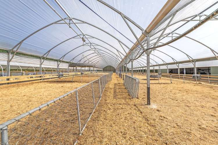 391 Sharlands Road Dunsandel_25