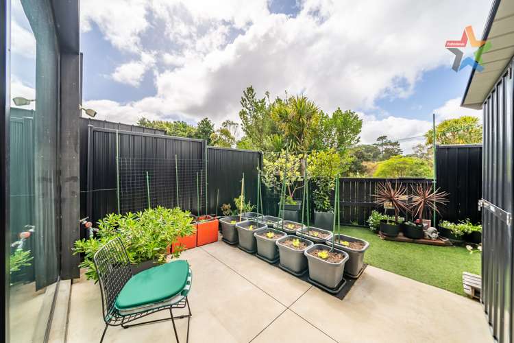 21 Te Ara O Paetutu Petone_7