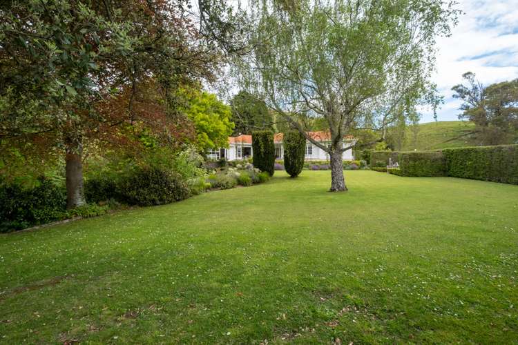 339 Seafield Road Eskdale_33