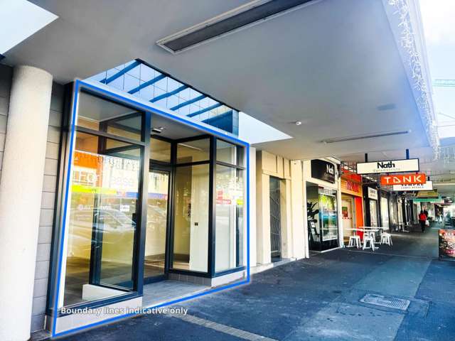 305 Ponsonby Road Ponsonby_1